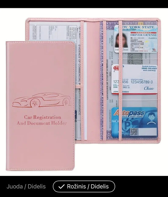 Auto dėklas/papkė dokumentams 